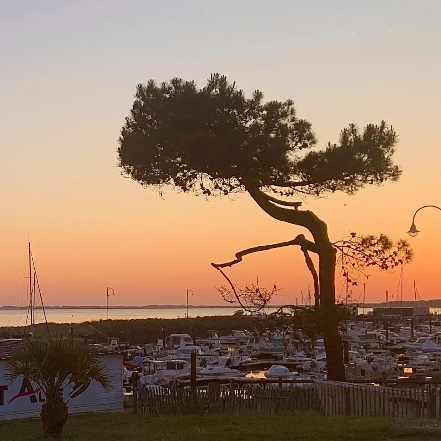 Photo pour aquarelle personnalisée